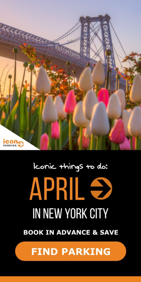 Iconic Things to do NYC